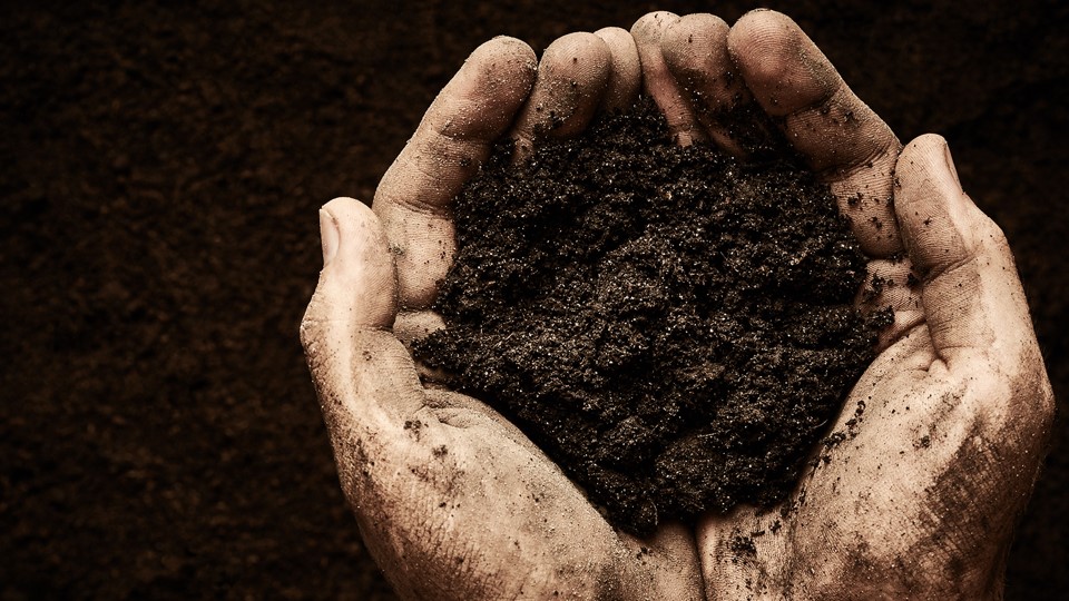 Mãos segurando solo - rastreabilidade e dados agrícolas MerX